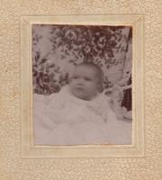 Jewell 6 or 7 months old